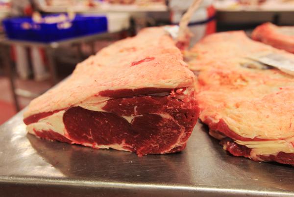 Cattle factory prices: Trade holding despite UK pressure Cattle factory prices: Trade holding despite UK pressure