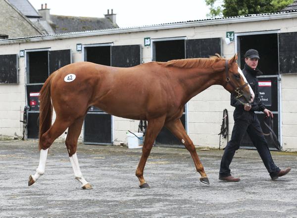 Best set of figures to date for Goresbridge Best set of figures to date for Goresbridge