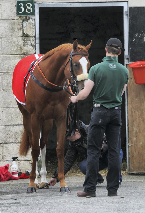 Best set of figures to date for Goresbridge Best set of figures to date for Goresbridge