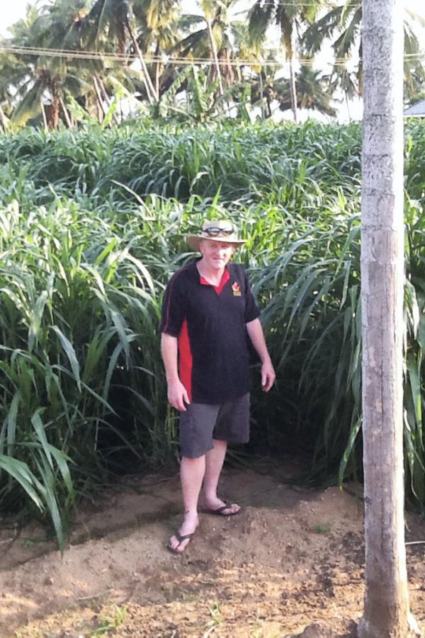 India - Untapped agricultural potential not helped by political bureaucracy India - Untapped agricultural potential not helped by political bureaucracy