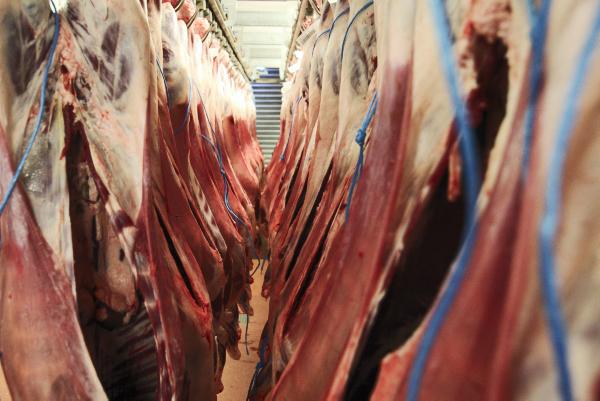 Zambeef announces pre-tax loss for first six months Zambeef announces pre-tax loss for first six months