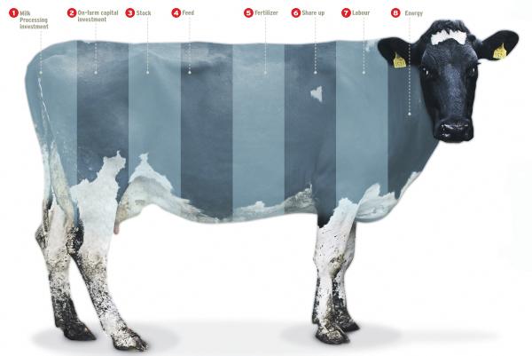 Could the dairy boom turn into a bubble? Could the dairy boom turn into a bubble?