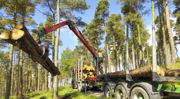 Government announce Government announce