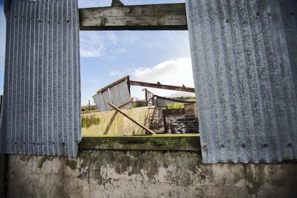 Farm insurance – the details can save Farm insurance – the details can save