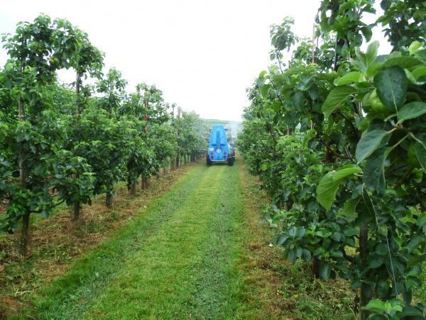 Spraying for maximum efficiency in fruit crops Spraying for maximum efficiency in fruit crops