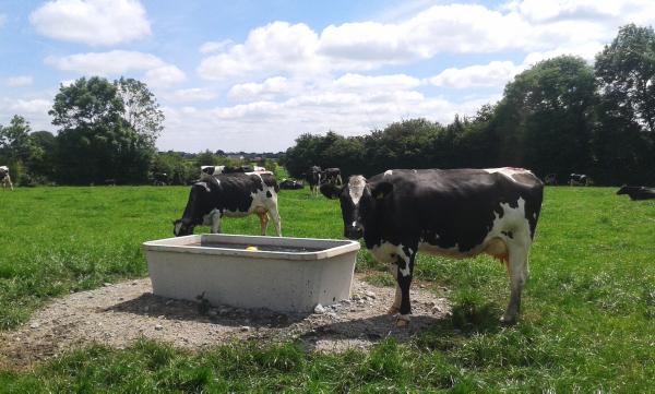 Successful dairy farming is all about having the right team Successful dairy farming is all about having the right team
