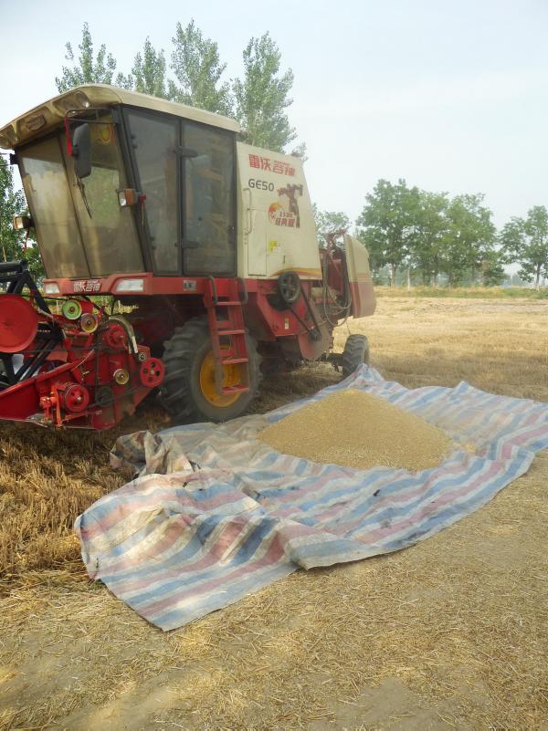 As China becomes more urbanised, who will feed their people? As China becomes more urbanised, who will feed their people?