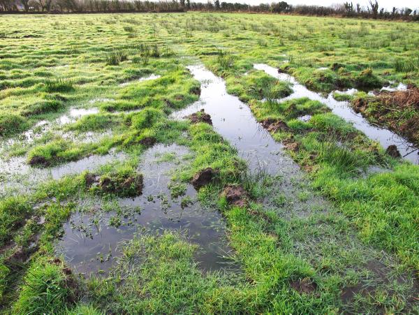 BETTER Farm: Increasing output on a difficult land type BETTER Farm: Increasing output on a difficult land type