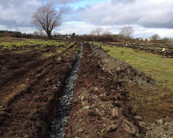 BETTER Farm: Increasing output on a difficult land type BETTER Farm: Increasing output on a difficult land type