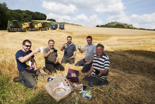 Harvest yields better than expected Harvest yields better than expected