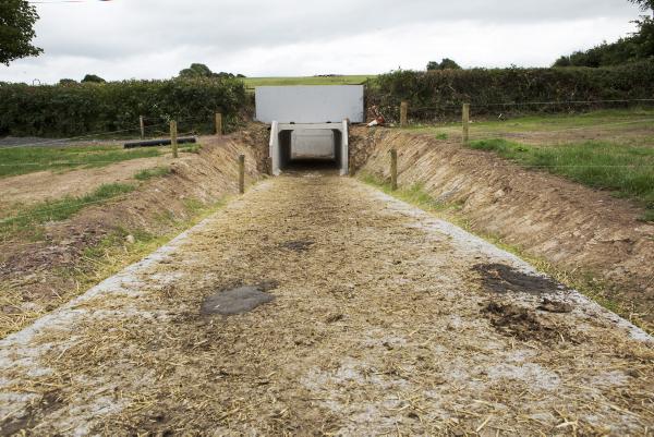Precast walls make underpass a fast job Precast walls make underpass a fast job