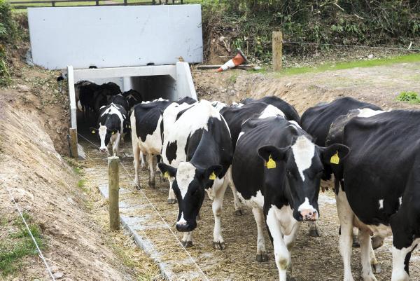 Precast walls make underpass a fast job Precast walls make underpass a fast job
