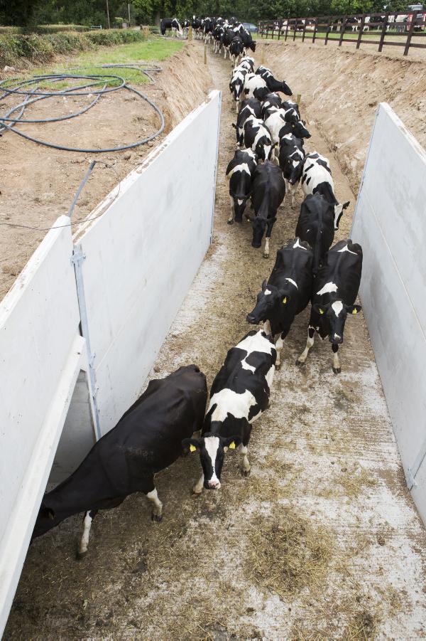 Precast walls make underpass a fast job Precast walls make underpass a fast job