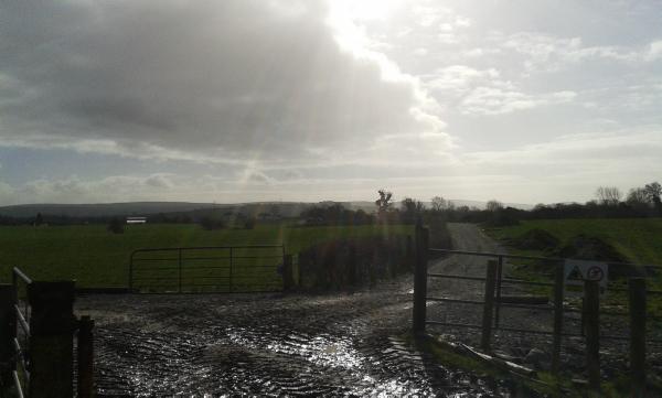 Farmer writes: Grass goes from surplus to deficit in four weeks Farmer writes: Grass goes from surplus to deficit in four weeks