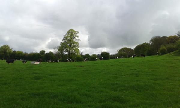 Farmer writes: Grass goes from surplus to deficit in four weeks Farmer writes: Grass goes from surplus to deficit in four weeks