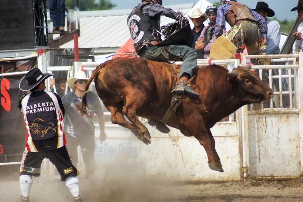 Musings from the Maple Country Musings from the Maple Country