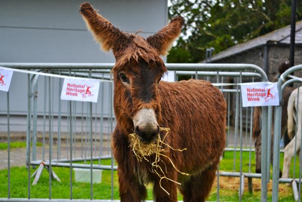 National Heritage Week events National Heritage Week events