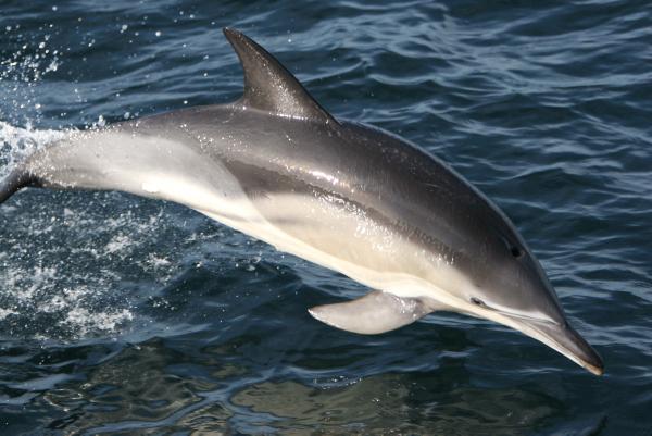 National Heritage Week events National Heritage Week events