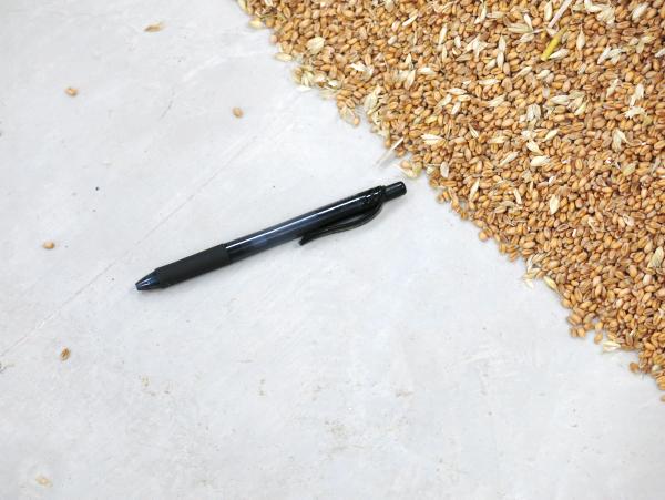 Well-made shed will safely store grain Well-made shed will safely store grain