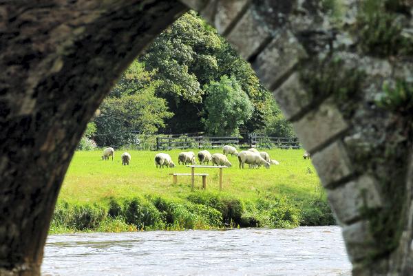 Carlow Kilkenny – A thriving machinery region Carlow Kilkenny – A thriving machinery region