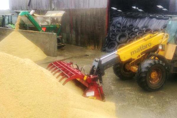 Farmer writes: Sourcing grain for the winter Farmer writes: Sourcing grain for the winter