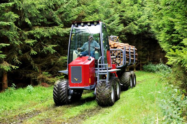 Falcon takes lightly to the thinnings Falcon takes lightly to the thinnings