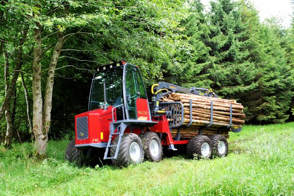 Falcon takes lightly to the thinnings Falcon takes lightly to the thinnings