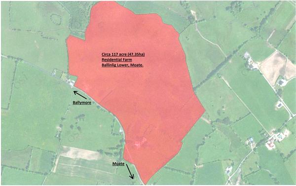 Two farms to go under the hammer in Westmeath Two farms to go under the hammer in Westmeath