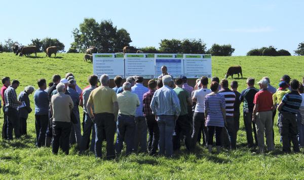 32% increase in gross margin on suckler to weanling system 32% increase in gross margin on suckler to weanling system