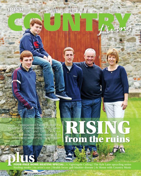 Irish Country Living preview Free