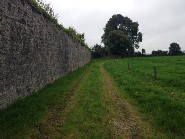 140-acre farm outside Nenagh for sale 140-acre farm outside Nenagh for sale