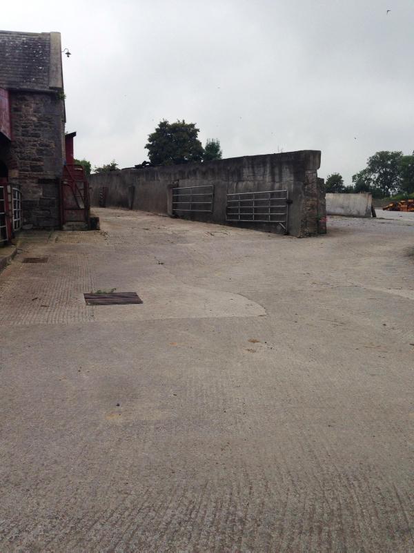 140-acre farm outside Nenagh for sale 140-acre farm outside Nenagh for sale