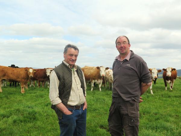 Farmer fallout from Scottish Referendum Farmer fallout from Scottish Referendum