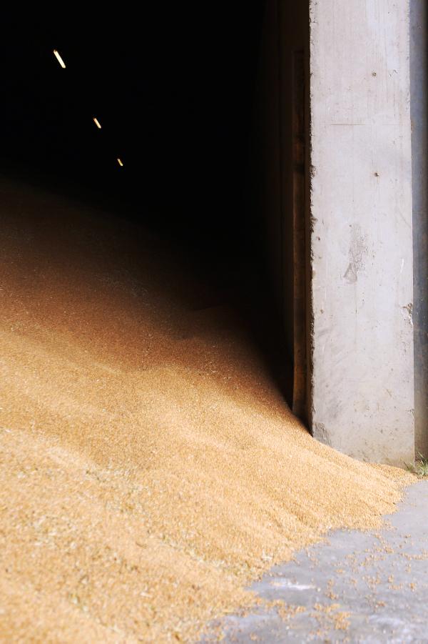 Don't lose sight of performance Don't lose sight of performance