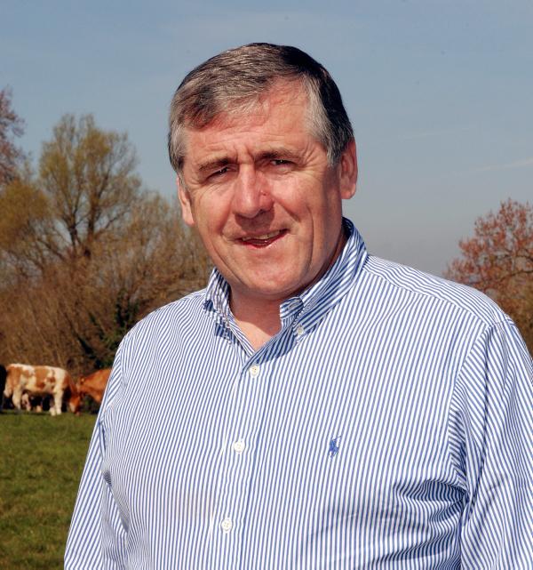 Enormous potential in forestry sector Enormous potential in forestry sector