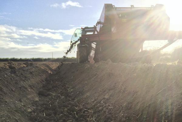 Farmer writes: Brussels bureaucracy not helping young farmers 