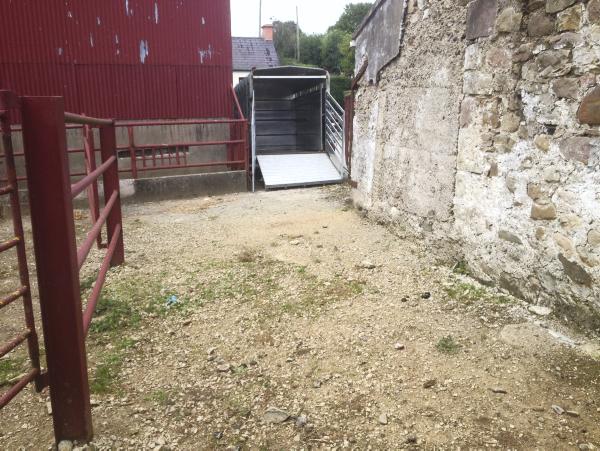 Farmer writes: Cattle loading bay makes life a lot easier Farmer writes: Cattle loading bay makes life a lot easier