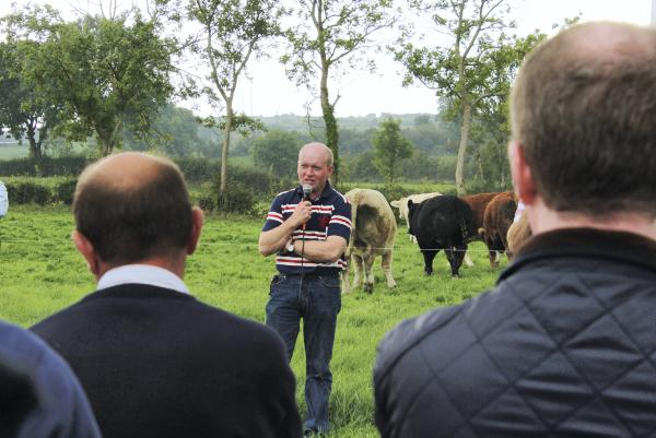Focusing on steer finishing in Monaghan Focusing on steer finishing in Monaghan