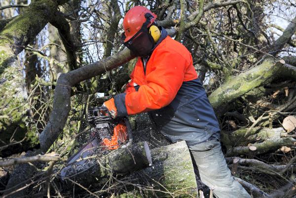 Who is responsible for Hedge Cutting? Who is responsible for Hedge Cutting?