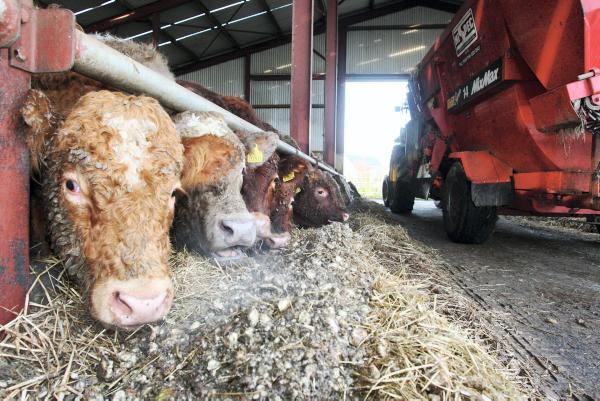 Ration prices fall further Ration prices fall further