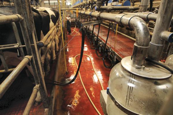 Clarity required on winter milk schemes Clarity required on winter milk schemes