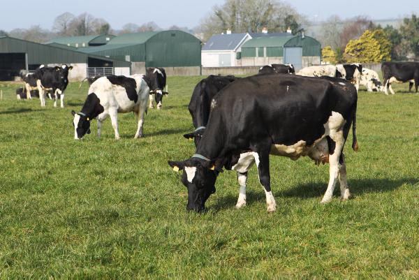 Farmer focus with winter milk suppliers Farmer focus with winter milk suppliers