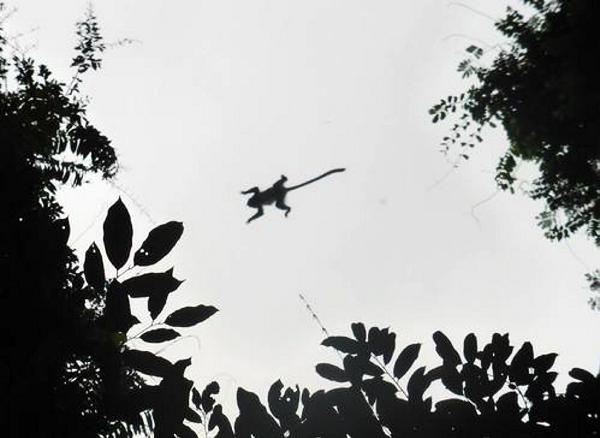 Adventures in Africa Adventures in Africa