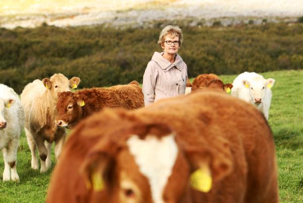 Burren Winterage Weekend: Where farming and conservation work hand in hand Burren Winterage Weekend: Where farming and conservation work hand in hand