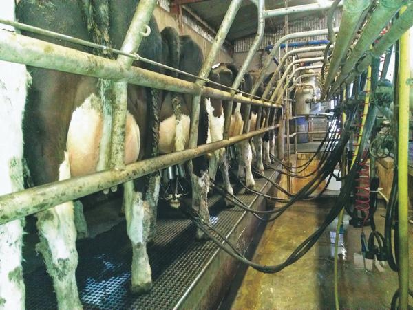 Milk price cuts mean tight cost control Milk price cuts mean tight cost control