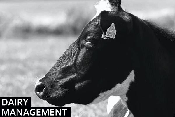 Dairy Management - weekly notes for dairy farmers Dairy Management - weekly notes for dairy farmers