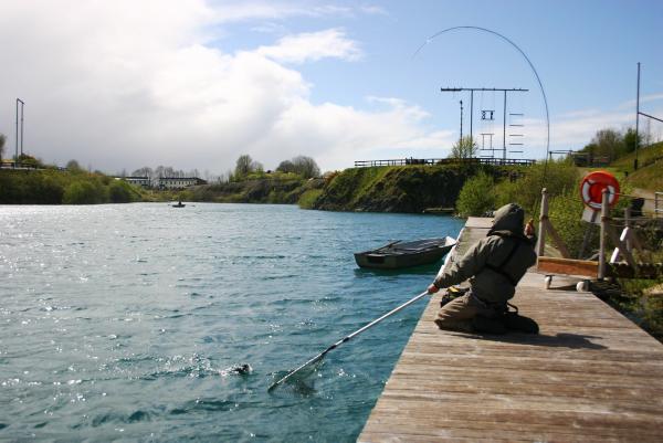 Family friendly activities in the city Family friendly activities in the city