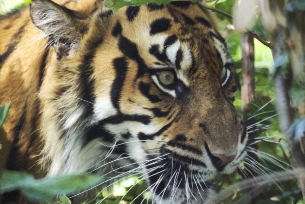 Family friendly activities in the city Family friendly activities in the city