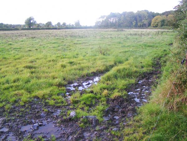 Restoring the ground around muddy gateways Restoring the ground around muddy gateways