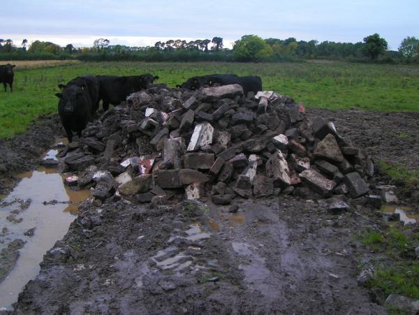 Restoring the ground around muddy gateways Restoring the ground around muddy gateways